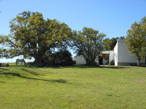 Estancia Los Plátanos